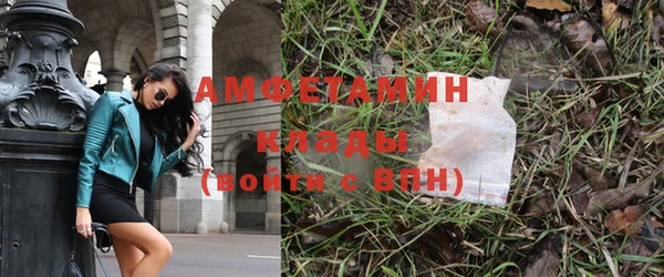 хмурый Аркадак