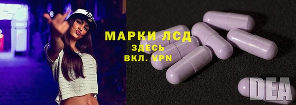 хмурый Аркадак