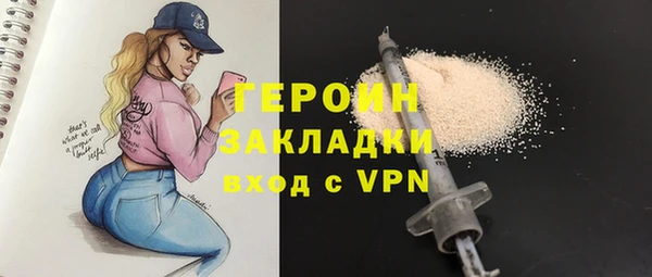 хмурый Аркадак
