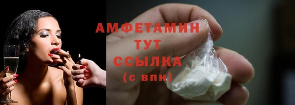 прущие грибы Армянск