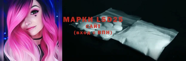 хмурый Аркадак