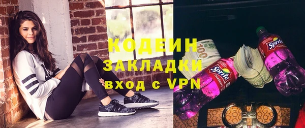 шишки Слюдянка