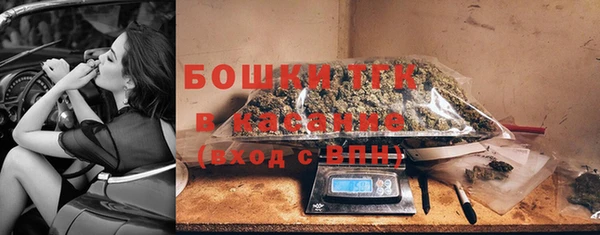 хмурый Аркадак
