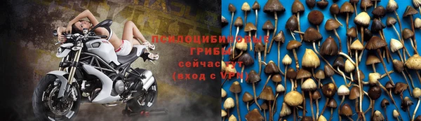 мескалин Снежногорск
