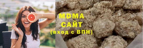 хмурый Аркадак