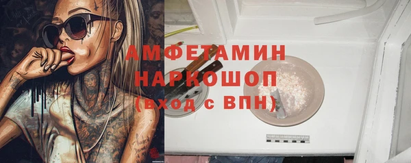 хмурый Аркадак